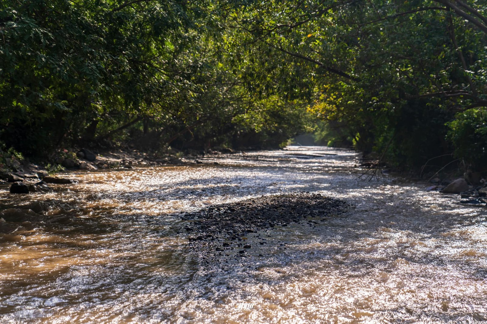 السياحة الريفية في إب: طبيعة ساحرة بلا استثمار