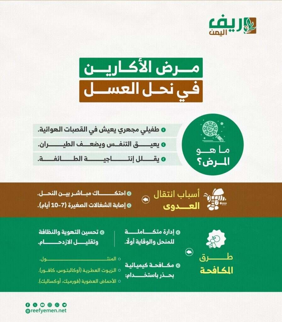 مرض الأكارين في نحل  العسل