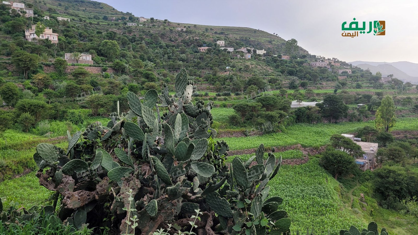 كيف هددت التقلبات الجوية التنوع البيولوجي عام 2025؟