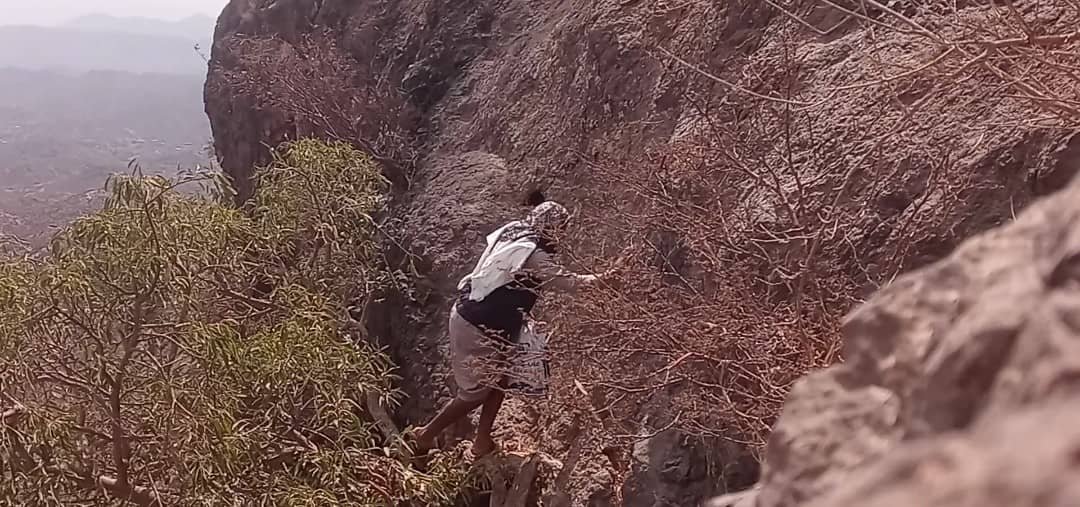 “ساروة”..قرية بلا طريق في قمم جبال الضالع