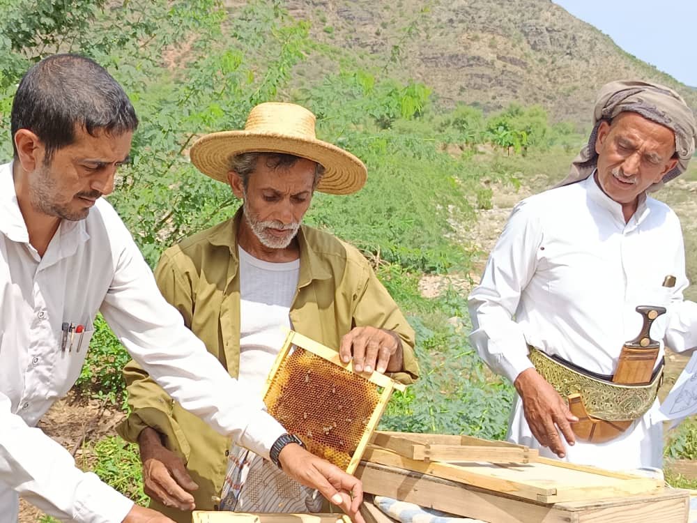 الجمعيات التعاونية شريان حياة الأرض والإنسان