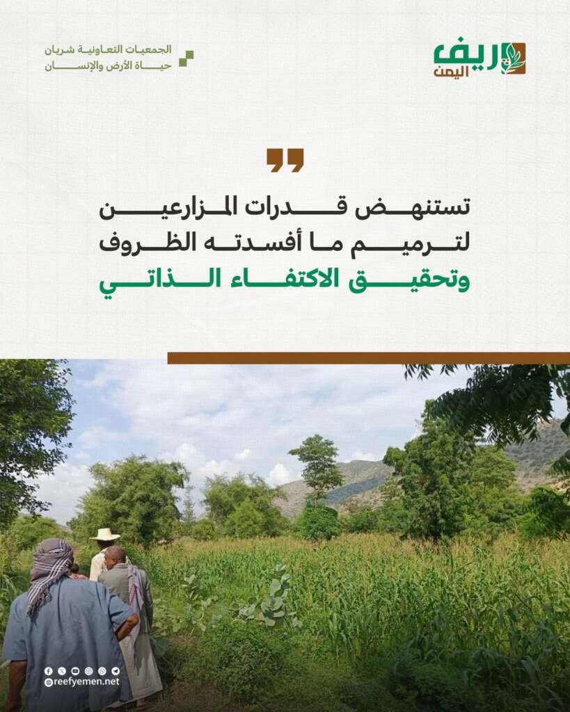 الجمعيات التعاونية تعيد الحياة الزراعية
