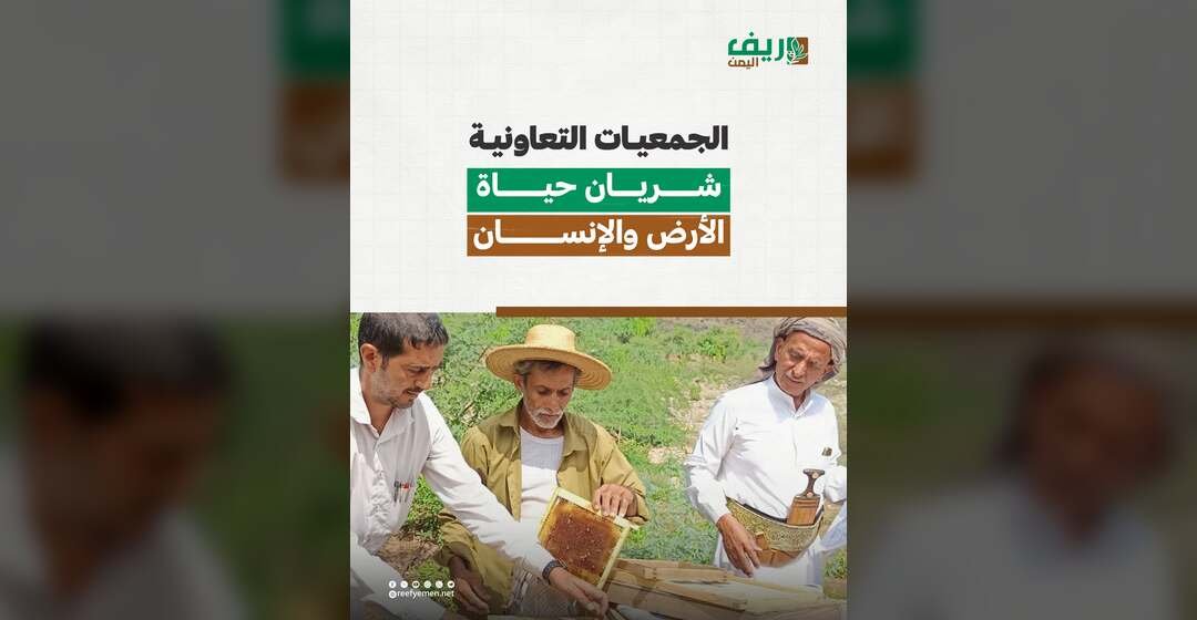 الجمعيات التعاونية تعيد الحياة الزراعية إلى الحقول