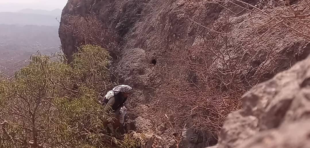 ‹ساروة›.. قرية بلا طريق في قمم جبال الضالع