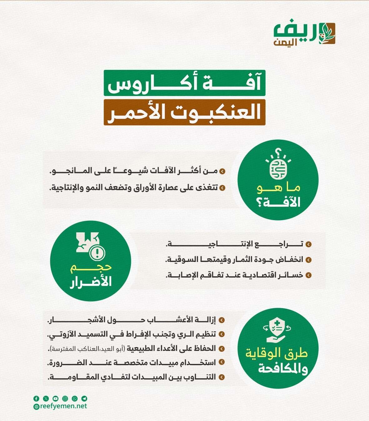 ماذا تعرف عن آفة أكاروس العنكبوت الأحمر وكيفية الوقاية؟