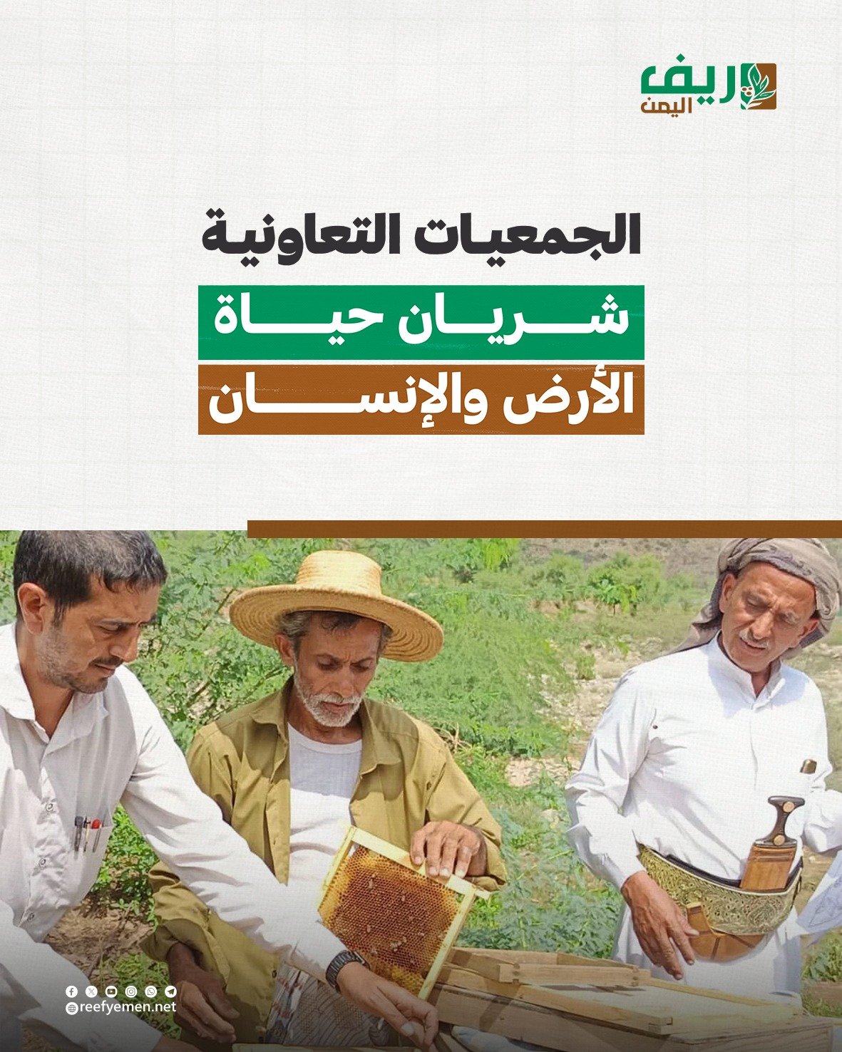 الجمعيات التعاونية تعيد الحياة الزراعية إلى الحقول