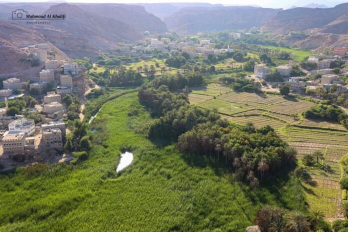 وادي غيل السعيدي في شبوة