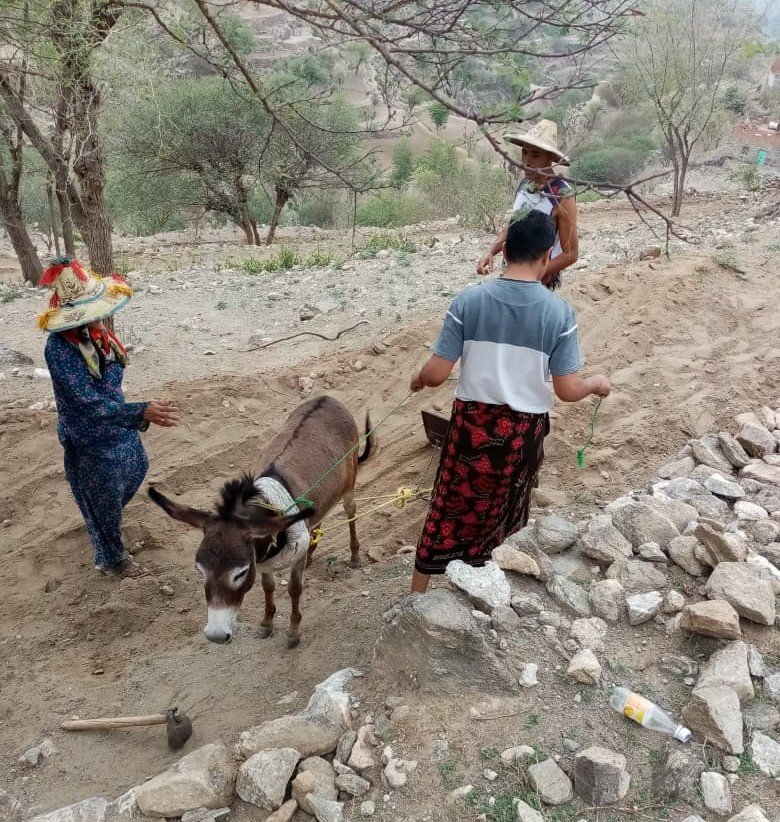 بين الصيام والأرض.. يوميات رمضان الشاقة في ريف إب