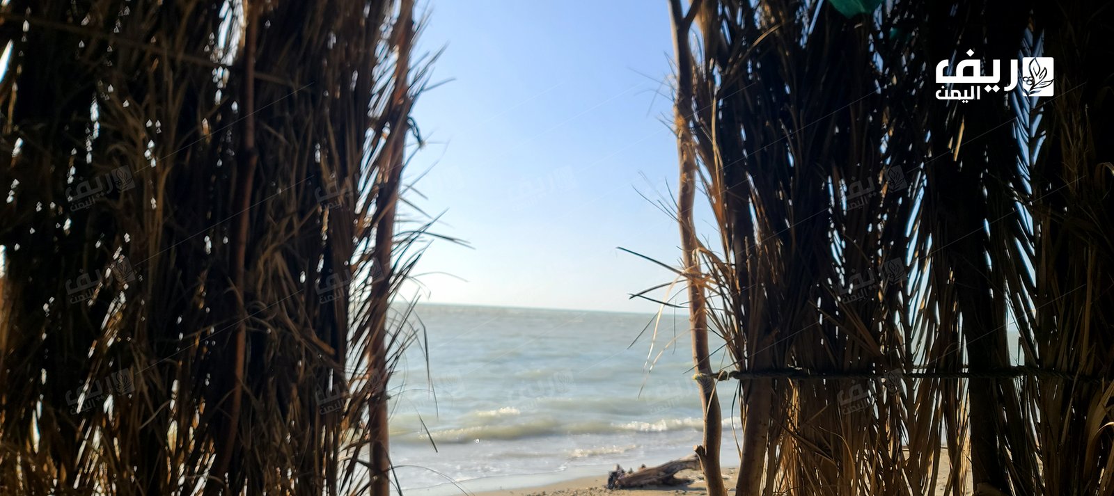 ساحل تعز: بوابة اليمن الغربية الإستراتيجية الغنية