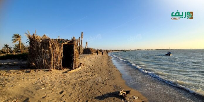 ساحل تعز: بوابة اليمن الغربية الإستراتيجية الغنية
