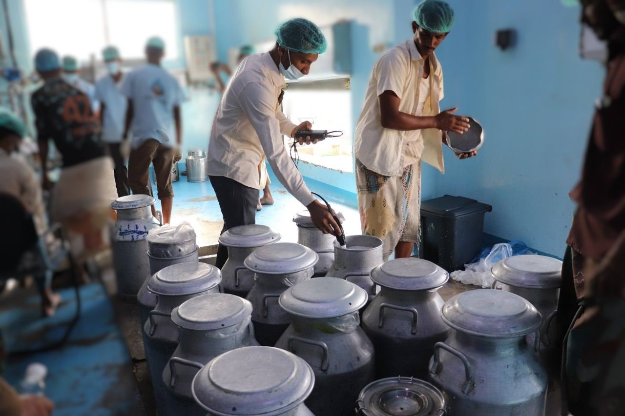 إنتاج الحليب في الحديدة.. كيف تحولت وعود الدعم إلى كابوس؟