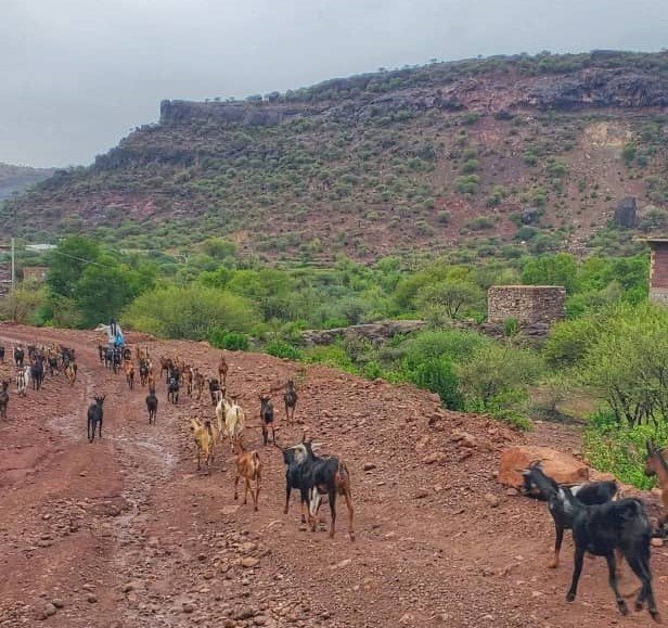 بين الصيام والأرض.. يوميات رمضان الشاقة في ريف إب