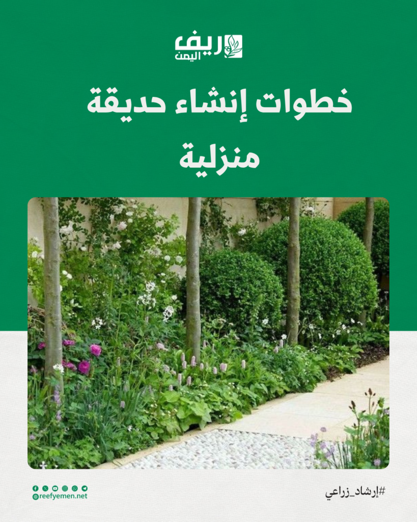 خطوات إنشاء حديقة منزلية مثمرة