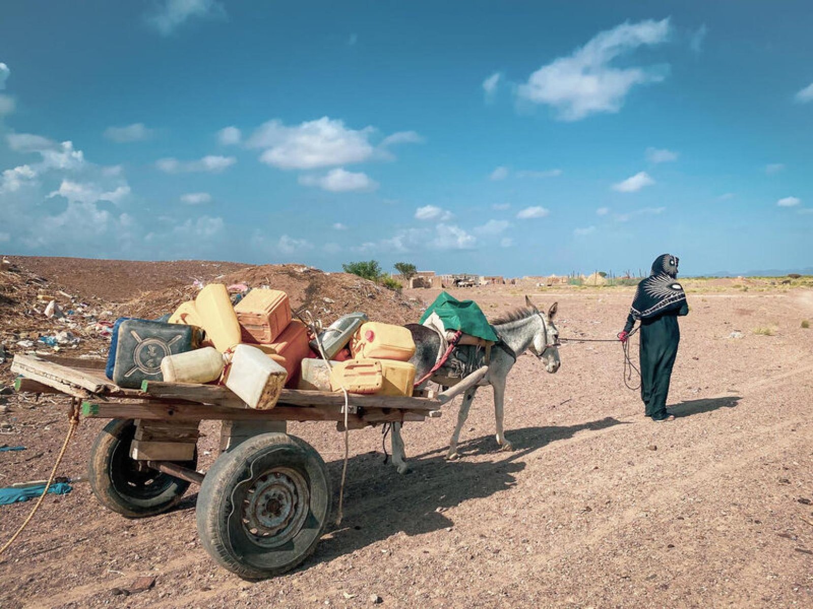 الضالع.. نزاع على بئر مياه يودي بحياة ثلاثة أشخاص