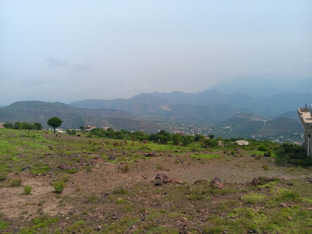 "الإنتقام بالماشية" وباء صامت في الريف