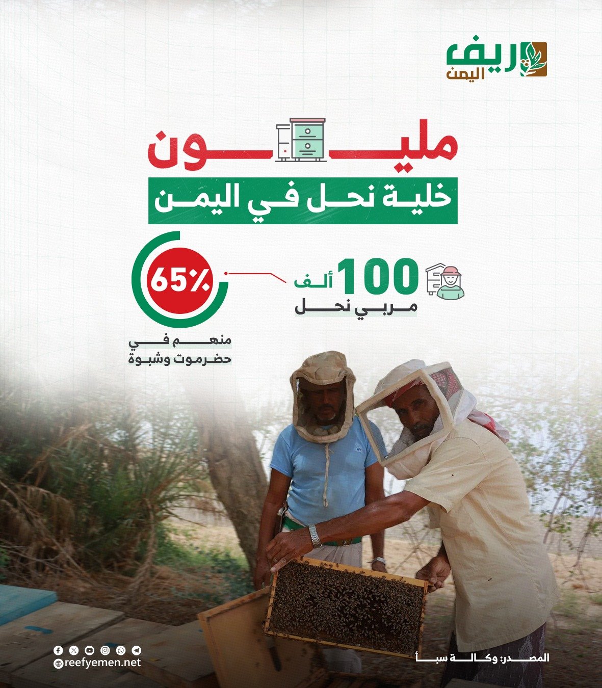مليون خلية نحل في اليمن