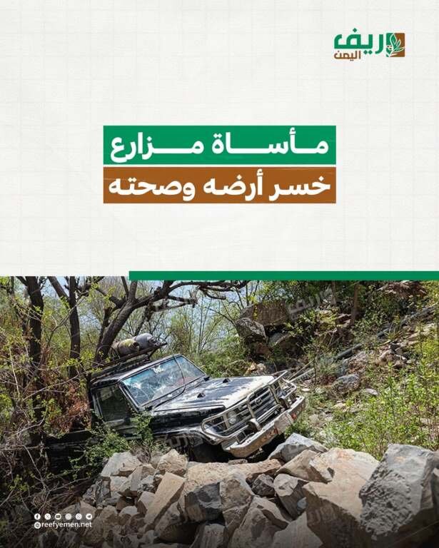 تعز.. مأساة مزارع خسر وصحته