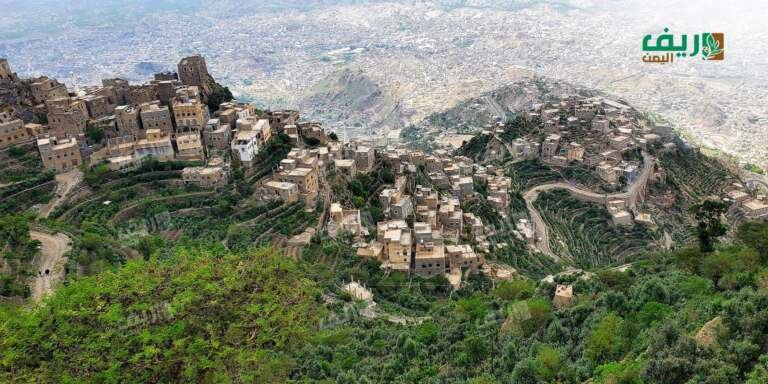 رحلة في أرياف تعز: سحر جبل صبر وأسرار الطبيعة