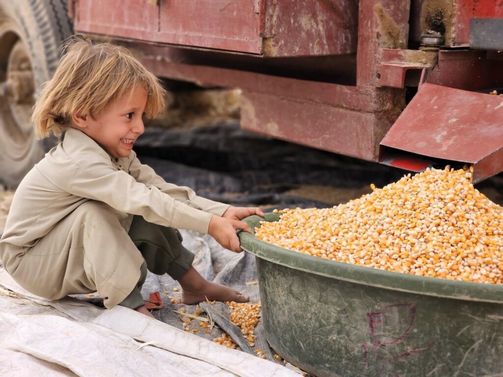 الأمن الغذائي الريفي: 600 ألف أسرة زراعية بحاجة دعم