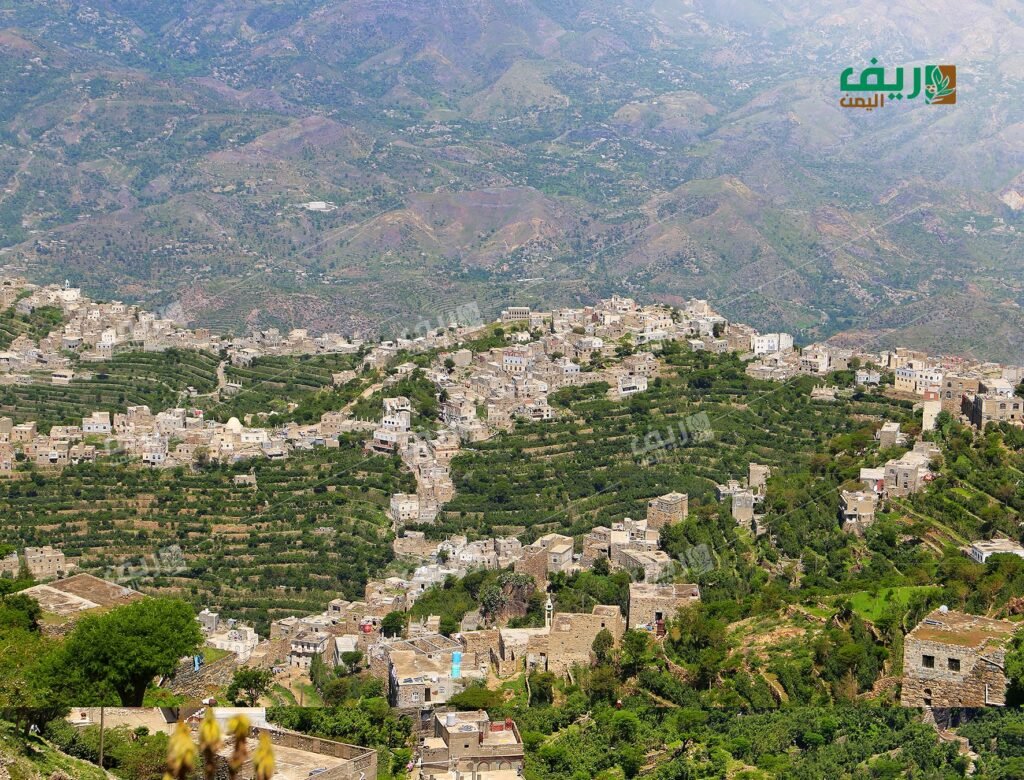 رحلة في أرياف تعز: سحر جبل صبر وأسرار الطبيعة