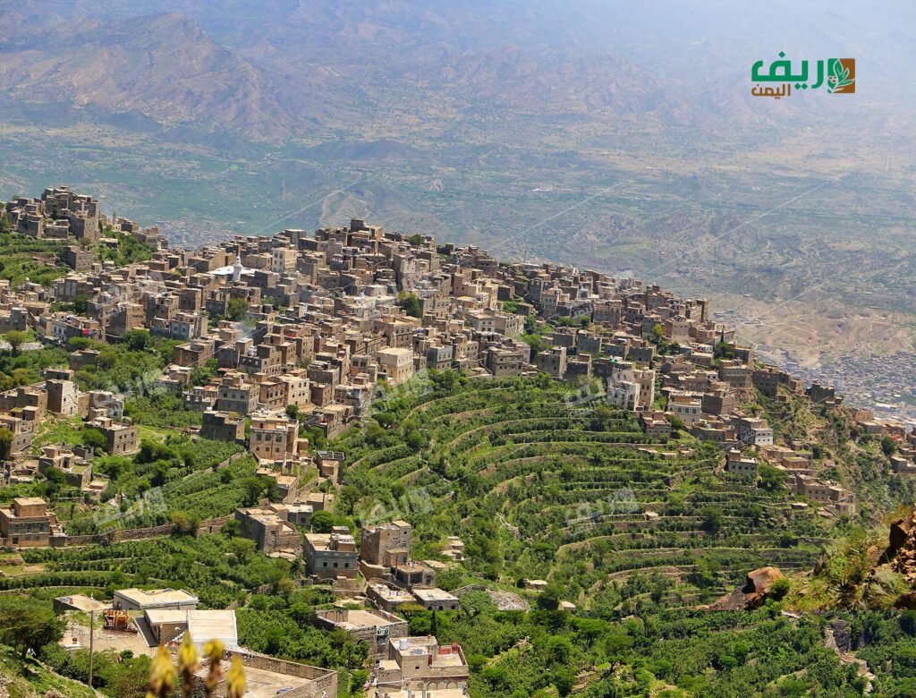 رحلة في أرياف تعز: سحر جبل صبر وأسرار الطبيعة