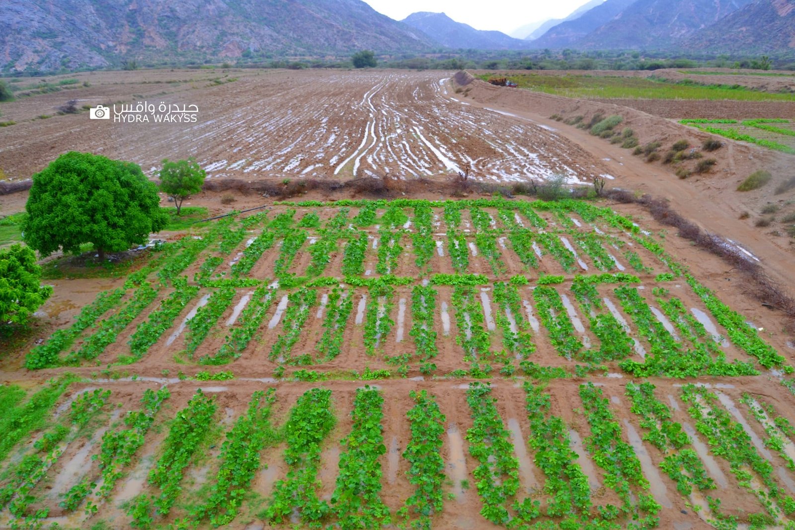 توقعات بهطول أمطار غزيرة وارتفاع درجات الحرارة بنسبة 60%