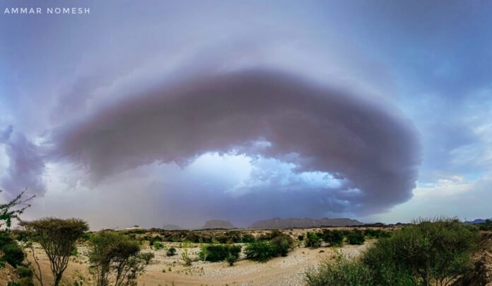 ‹تذبذب الأمطار› يهدد استقرار الغذاء والمياه عالمياً