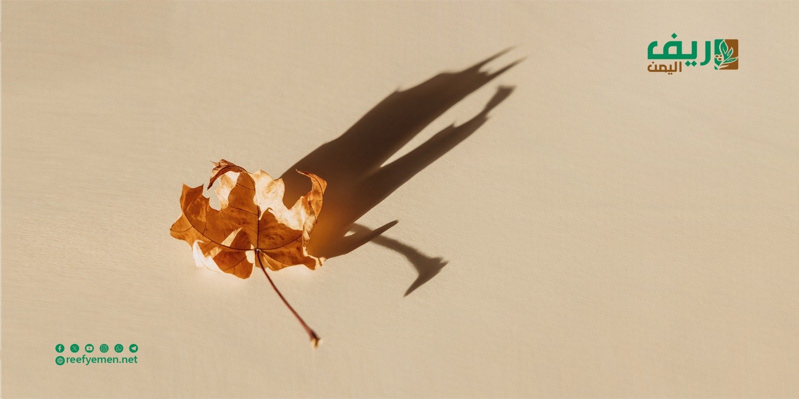 قصة فتاة المحابشة حجة.. لماذا تختار شابة عشرينية إنهاء حياتها؟