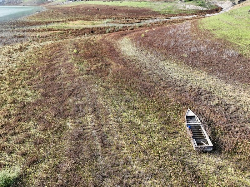 الجفاف يهدد الأمن الغذائي في الشرق الأوسط