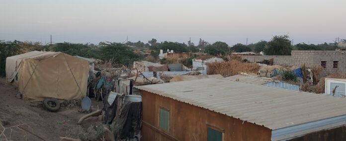 نازحو ريف تعز: بين قسوة التشرد وتوفير سبل العيش