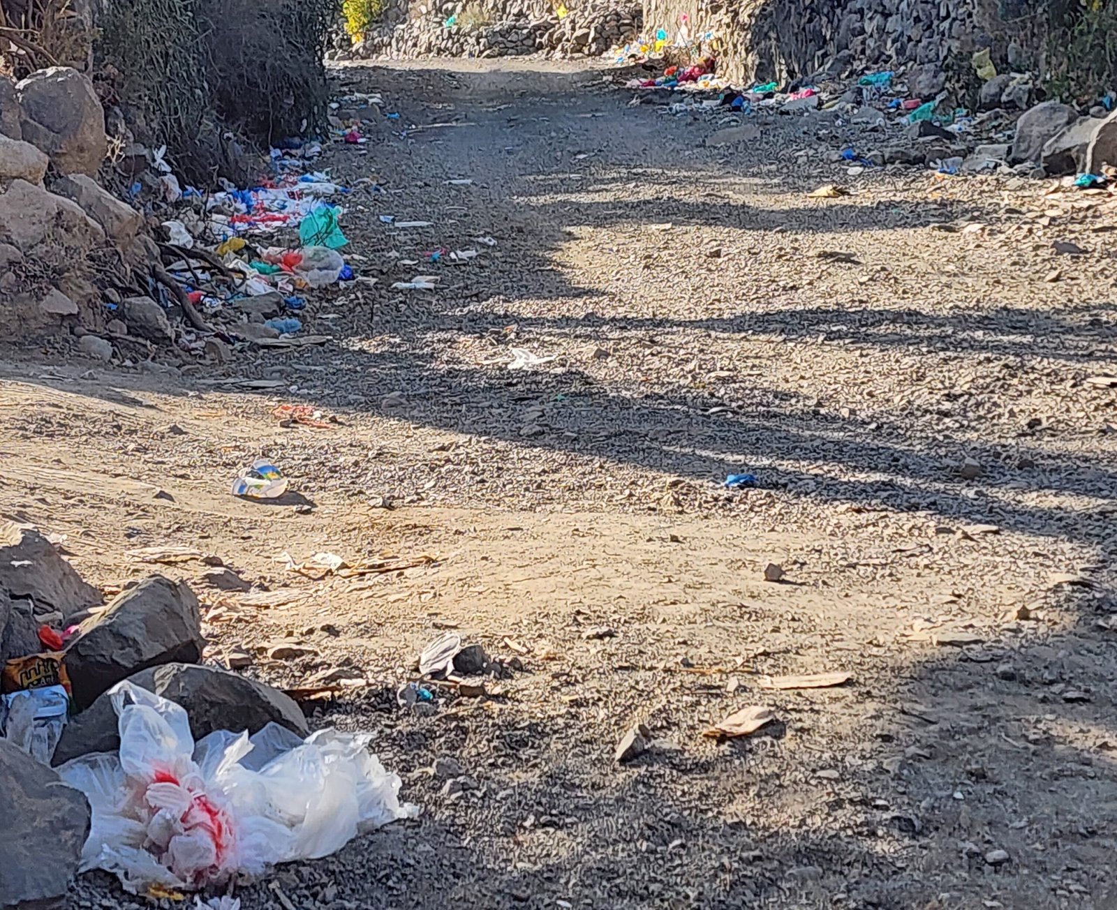 الأكياس البلاستيكية.. معضلة بيئية بانتظار الحل