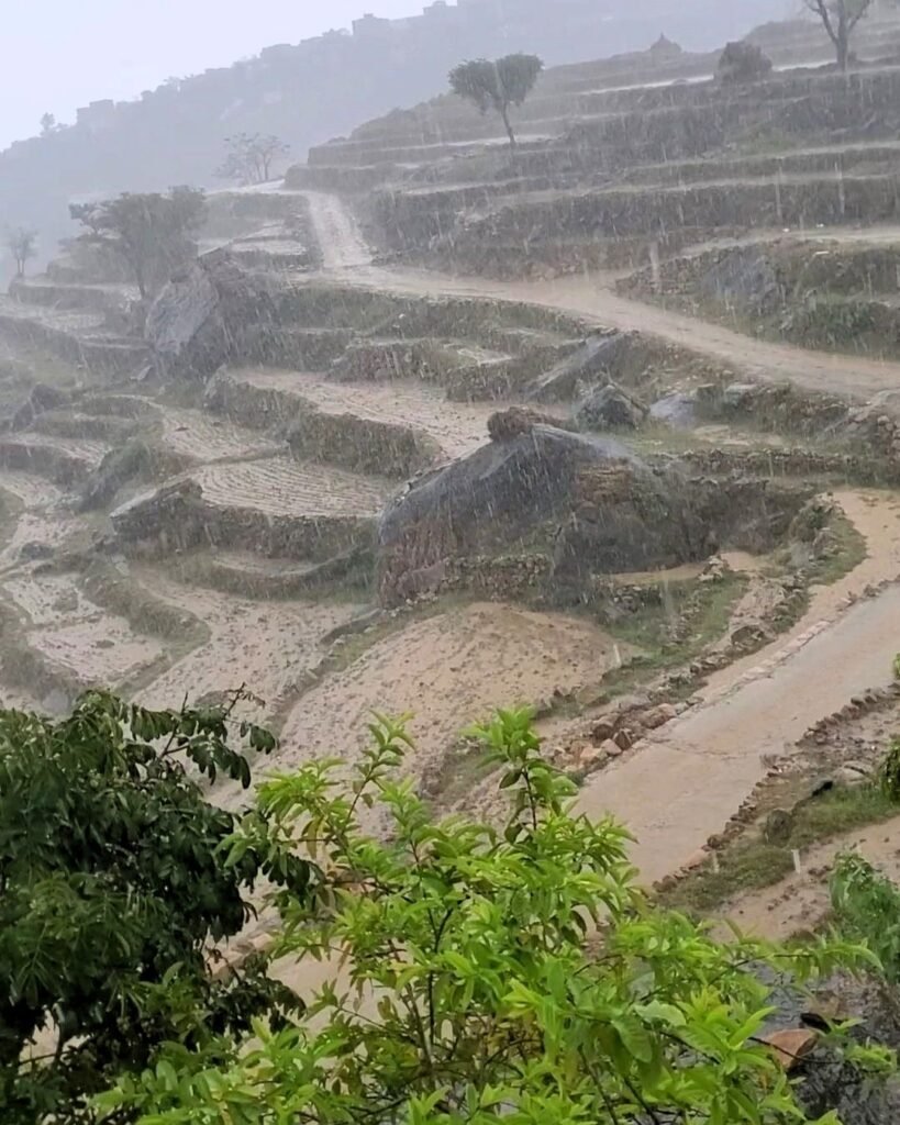 اليمن يسجل أعلى معدل أمطار خلال 5 سنوات في مارس