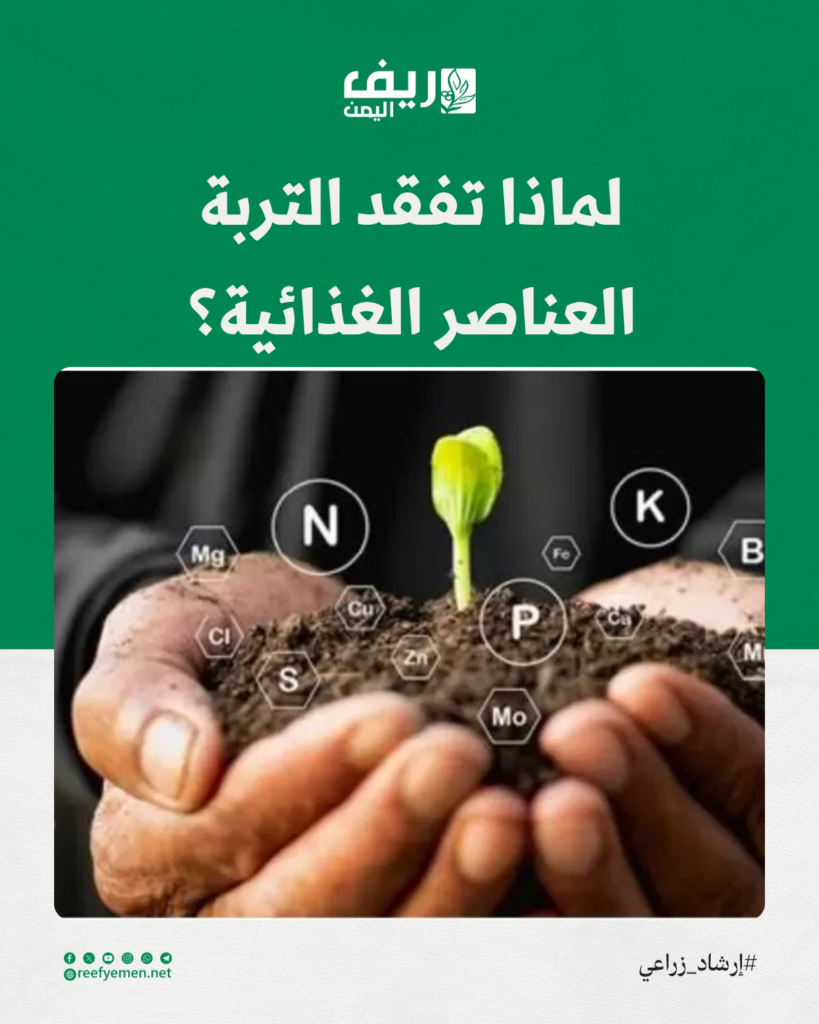 لماذا تفقد التربة العناصر الغذائية؟
