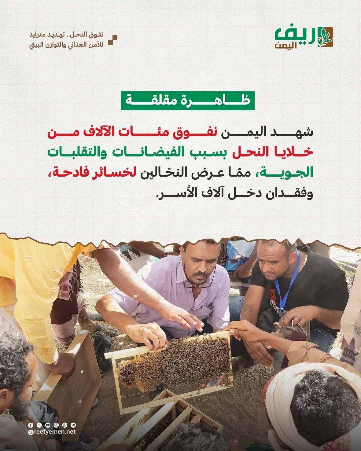 تربية النحل.. مهنة يمنية عريقة تواجه خطر التلاشي