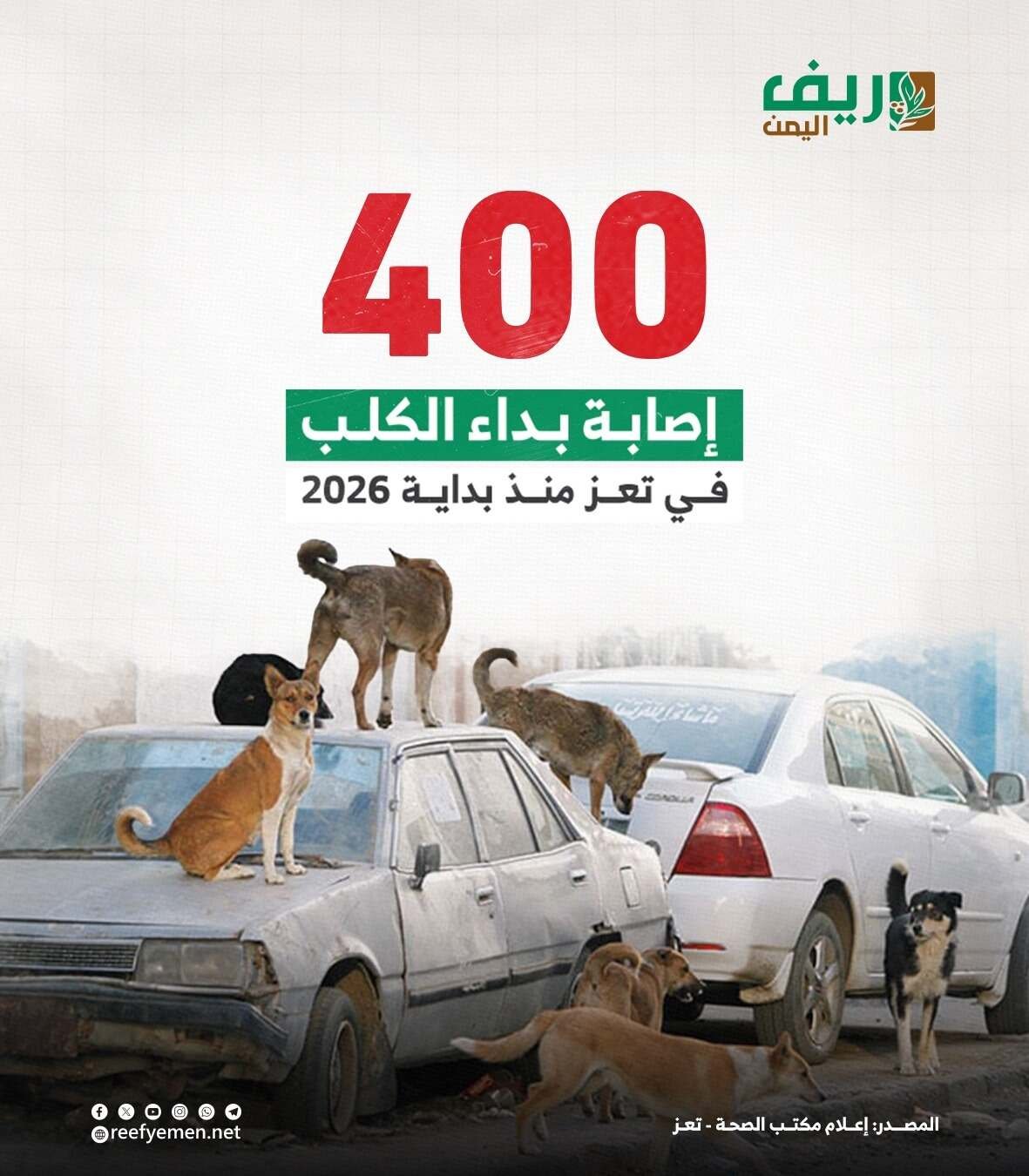 400 إصابة بداء الكلب في تعز منذ بداية 2026