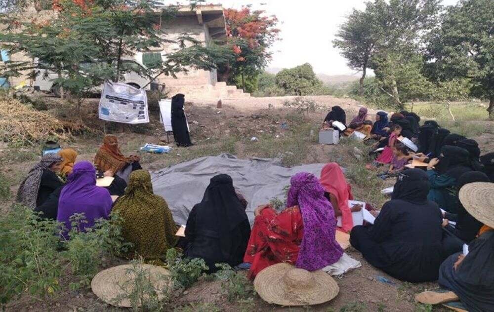 تعز.. تدشين مدارس المزارعين الحقلية في 5 مديريات