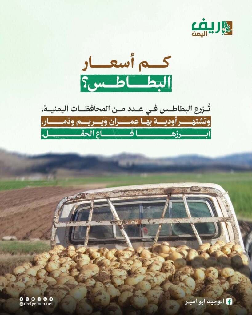 كم أسعار البطاطس في يريم؟