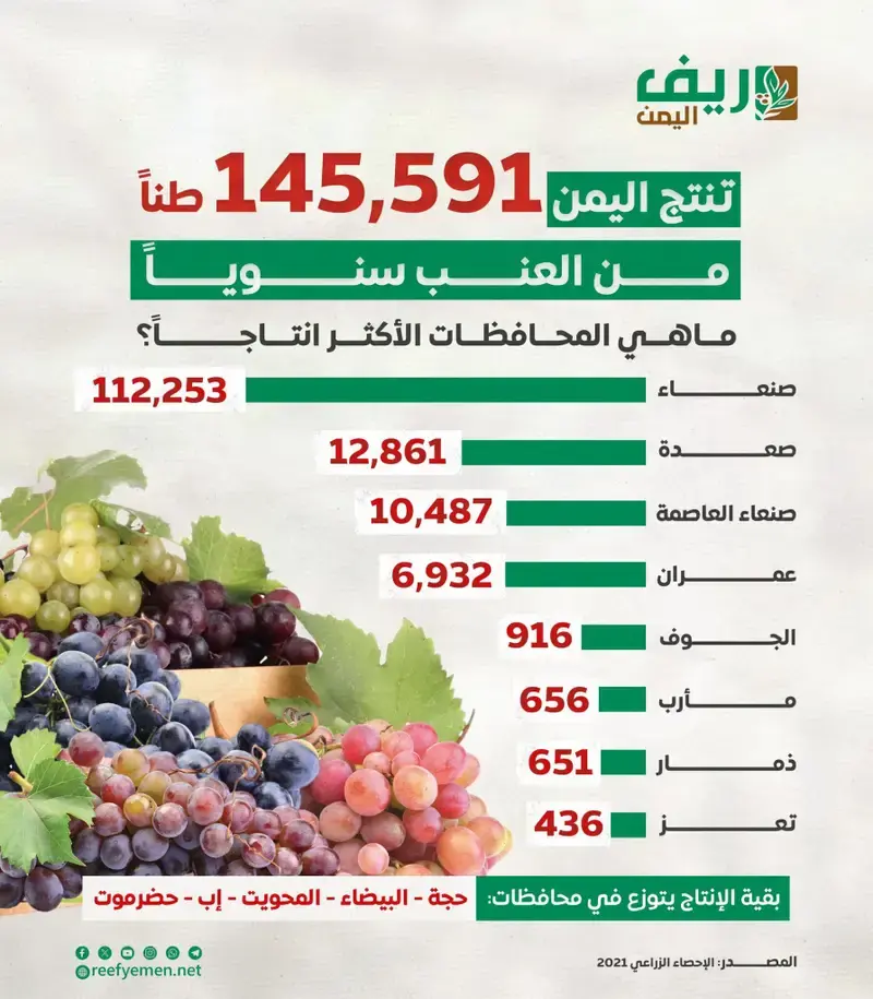  العنب.. بين جودة الأصناف والتحديات 