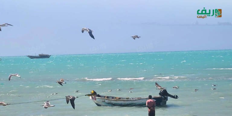صيادو الساحل الغربي: ضحايا معركة أكبر من قواربهم الصغيرة