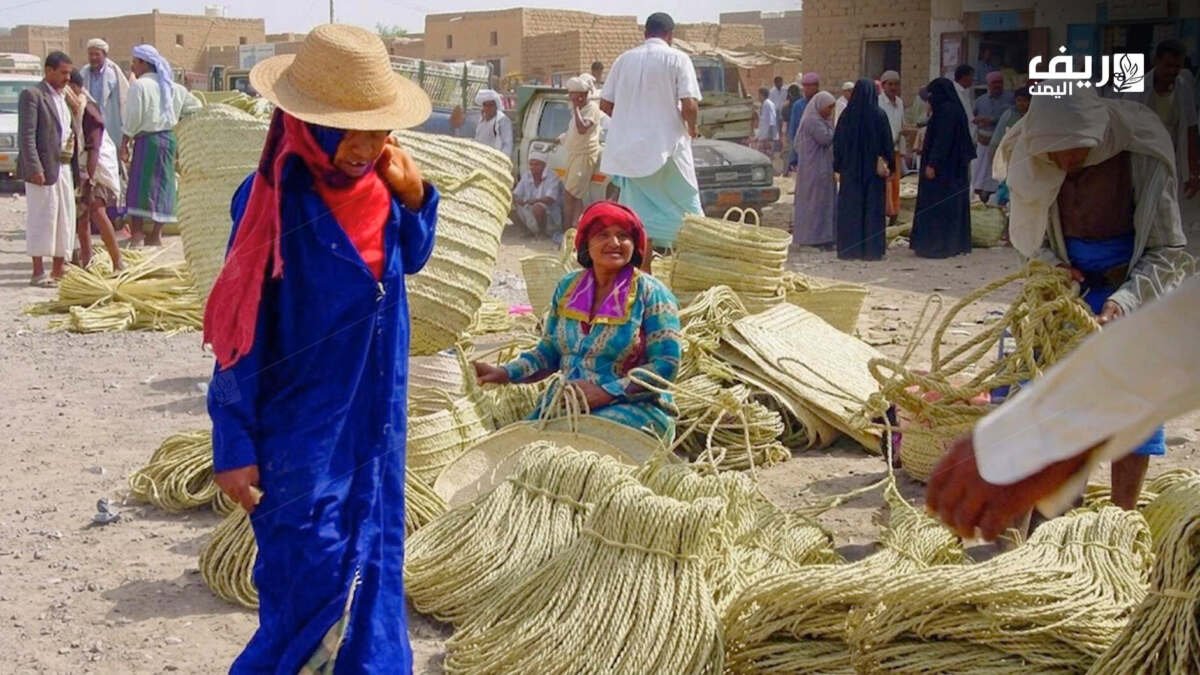 سعف النخيل.. شريان الحياة وذاكرة الصمود في تهامة