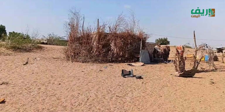 ‹زرعة بعسوس› قصة كفاح المرأة الريفية وقسوة العجز